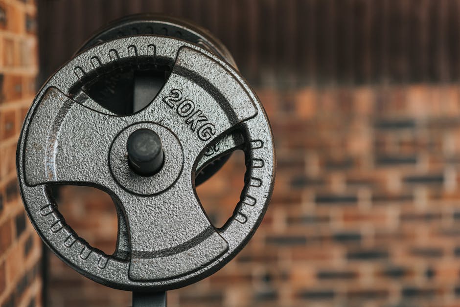 What is the best form of exercise for seniors?
