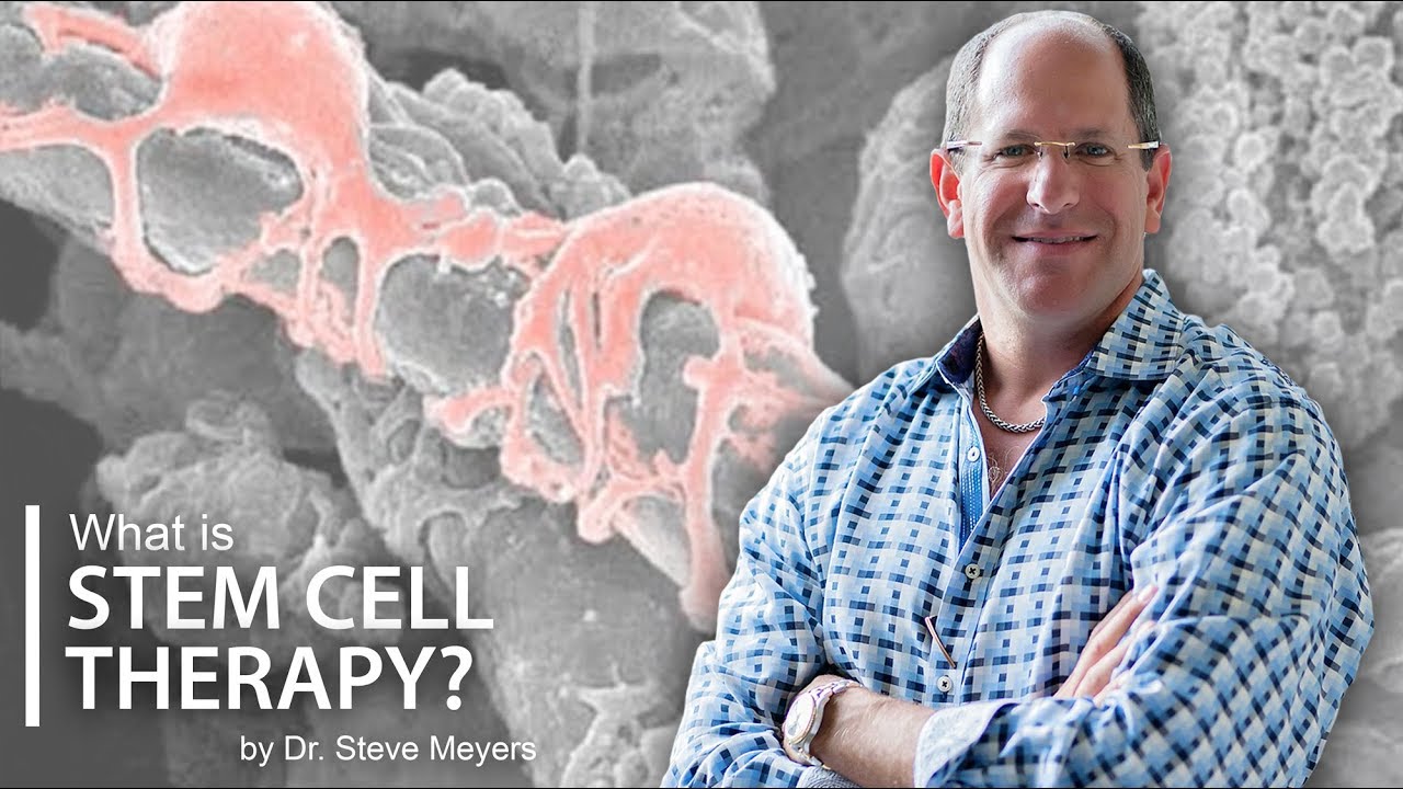 Regenerative Stem Cell Therapy Explained - Dr. Steve Meyers